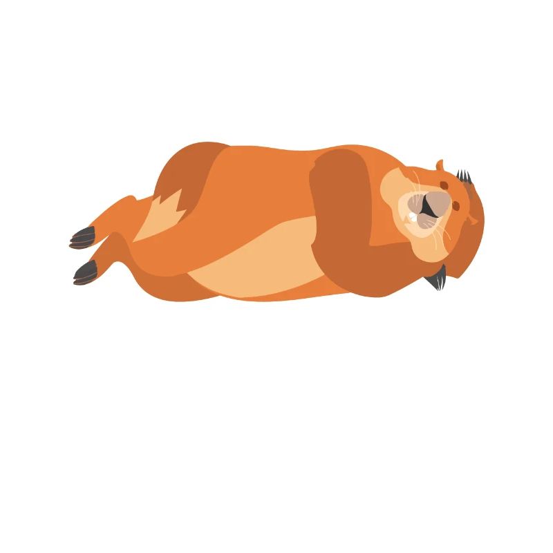 Meh. marmotte