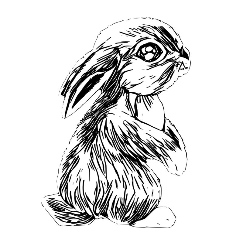 Lapins