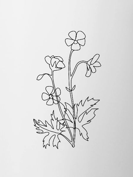 WILD FLOWERS