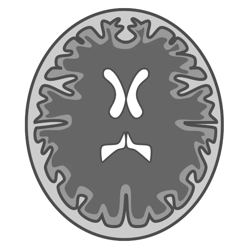 skull mri
