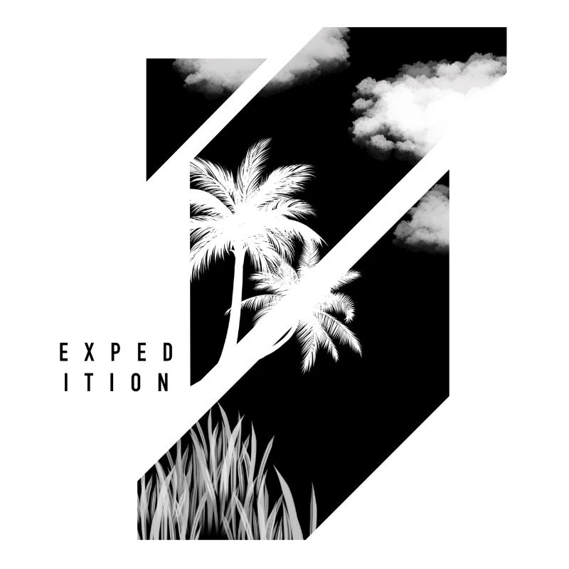 Expédition