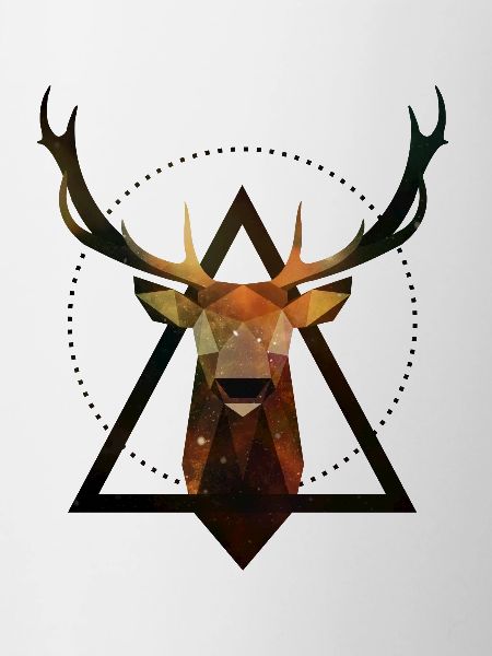 Hirsch Geometrie