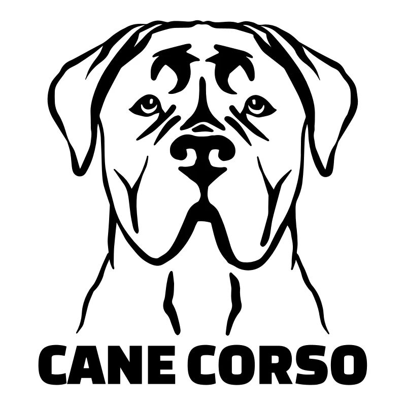 Cane Corso