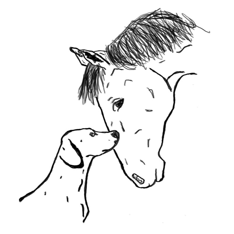 Cheval et chien