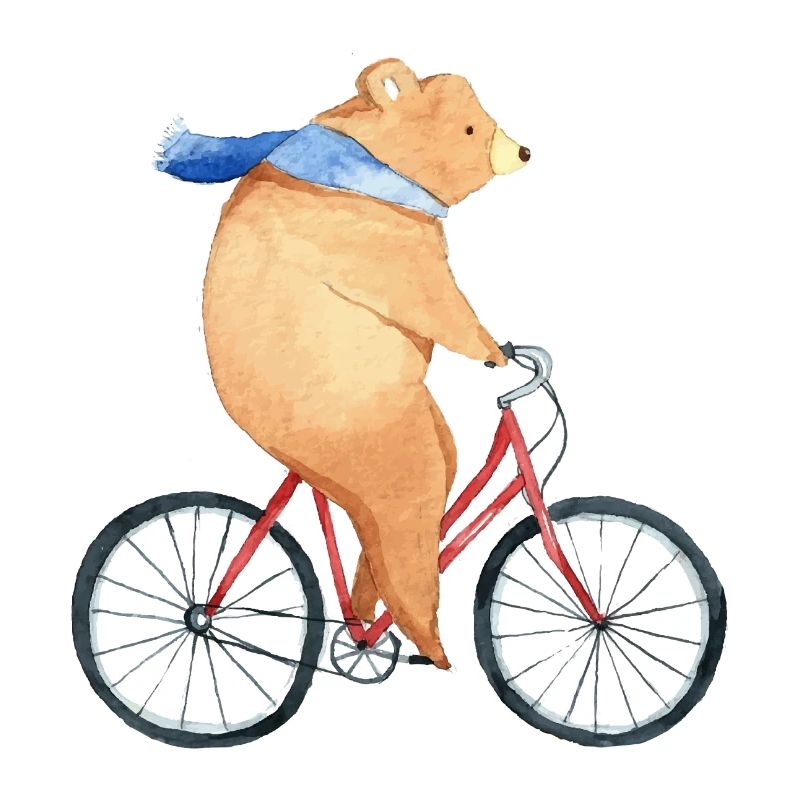 Don d'âne à vélo à deux roues