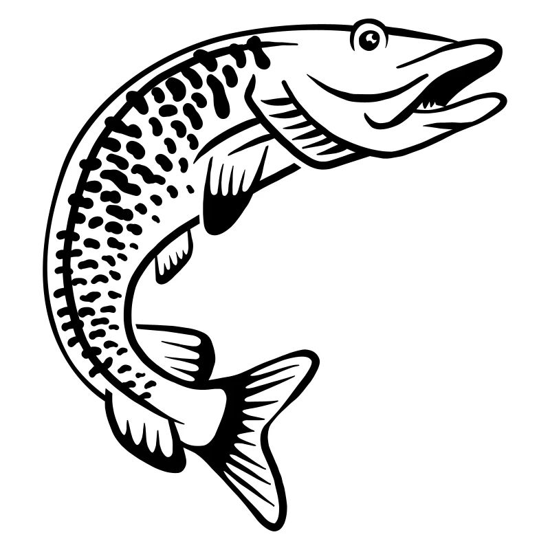 brochet
