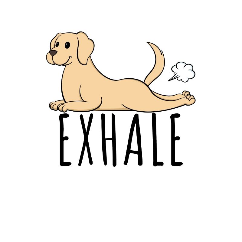 Exercice de yoga au Labrador