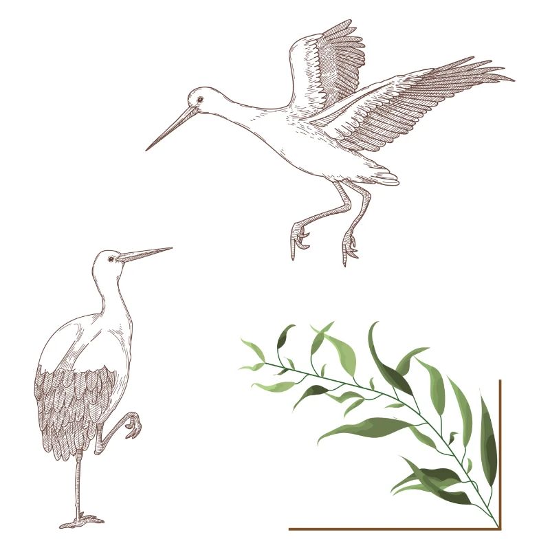 Storks