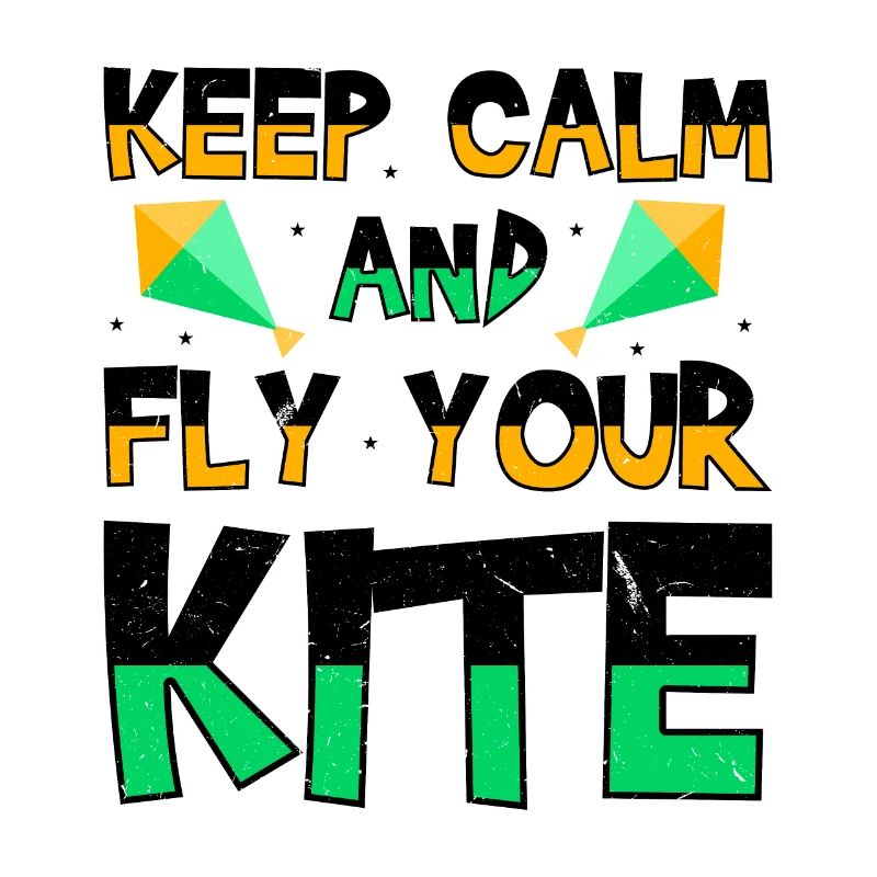Fly a Kite Hobby Wind Kiteboard Funny