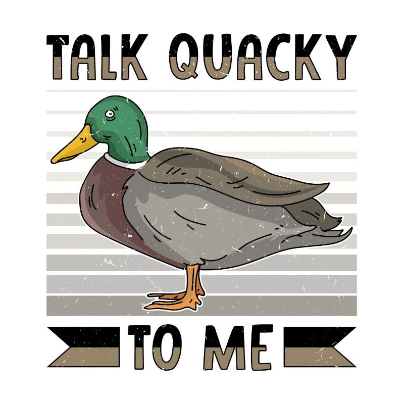 Duck Mallard