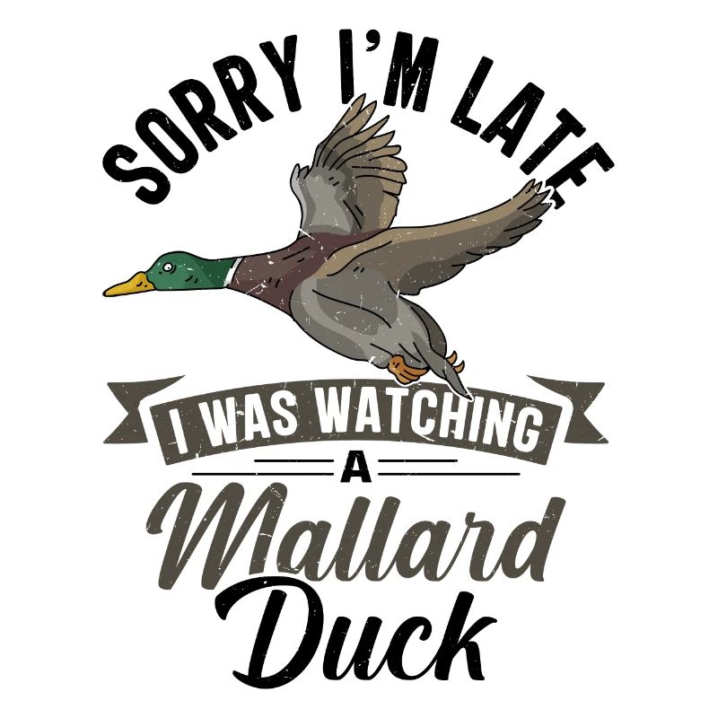 Duck Mallard