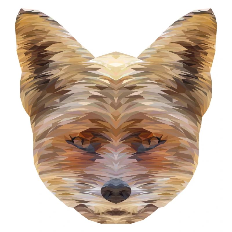 Fox Polygon