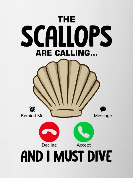 Seashell Shell Collector Scallop