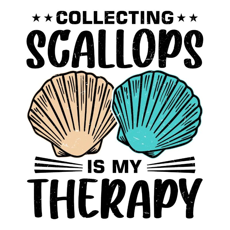 Shell Shell Collector Scallop