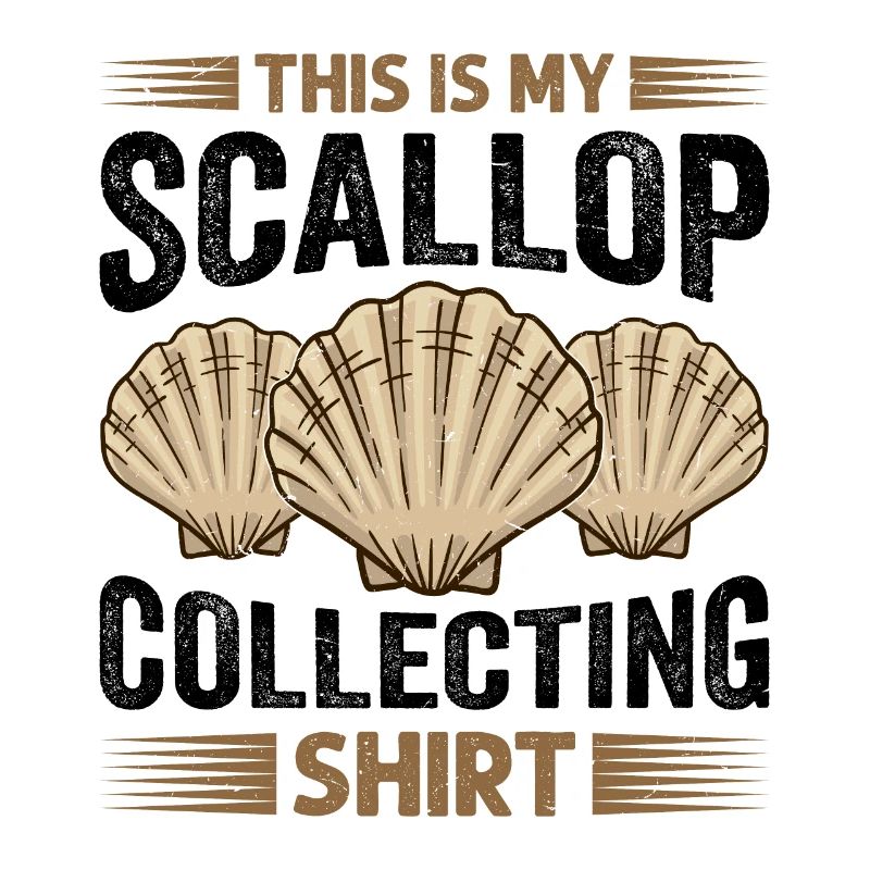 Seashell Shell Collector Scallop