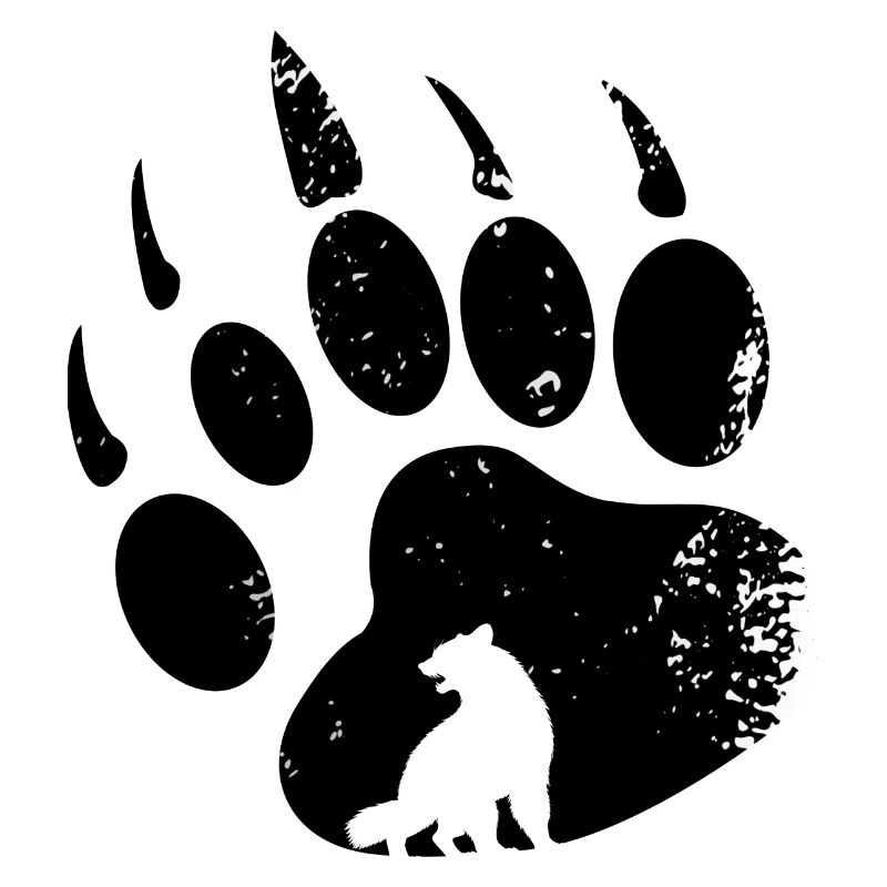 Wolverine Empreinte Martre Ours Chien Wolverine