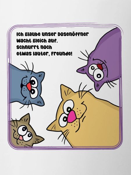 Chats le matin