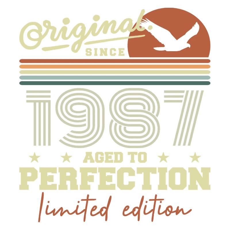 Original 1987 Birthday Gift 1987 Retro 1987