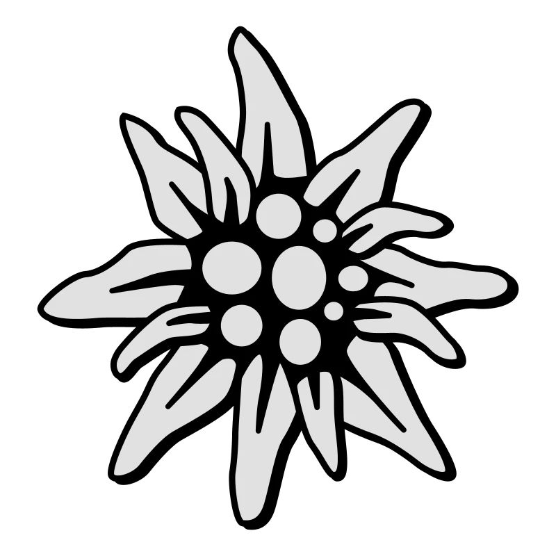 Edelweiss