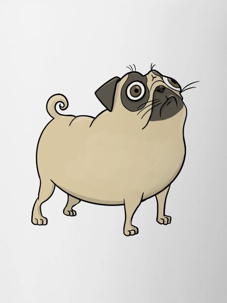 Pug funny embarrassed