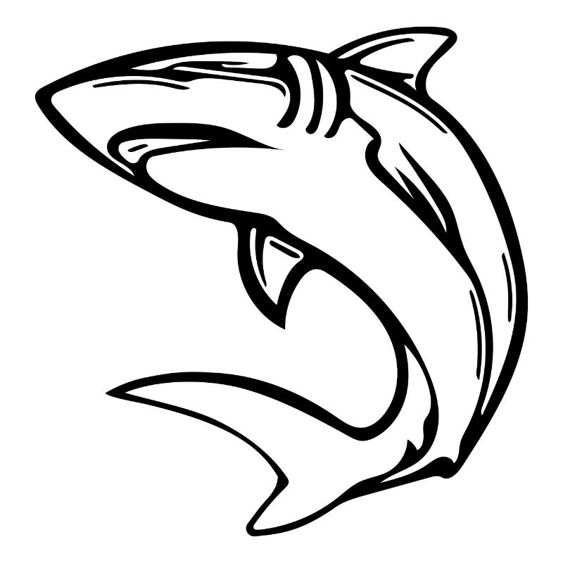 Élégant requin d’eau profonde