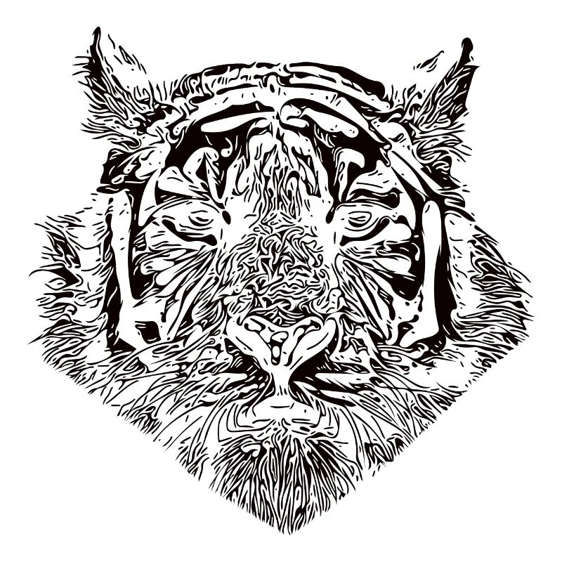 Tiger big cat with striped pattern