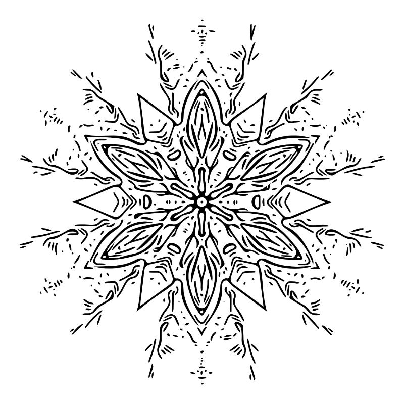Mandala Flower Pattern Lines Abstract Form
