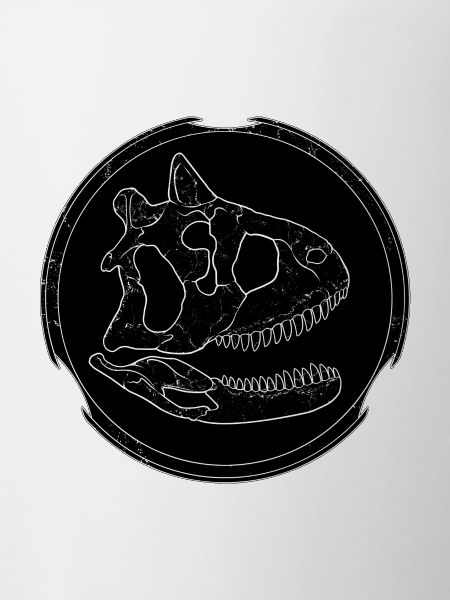 Crâne fossile de Carnotaurus