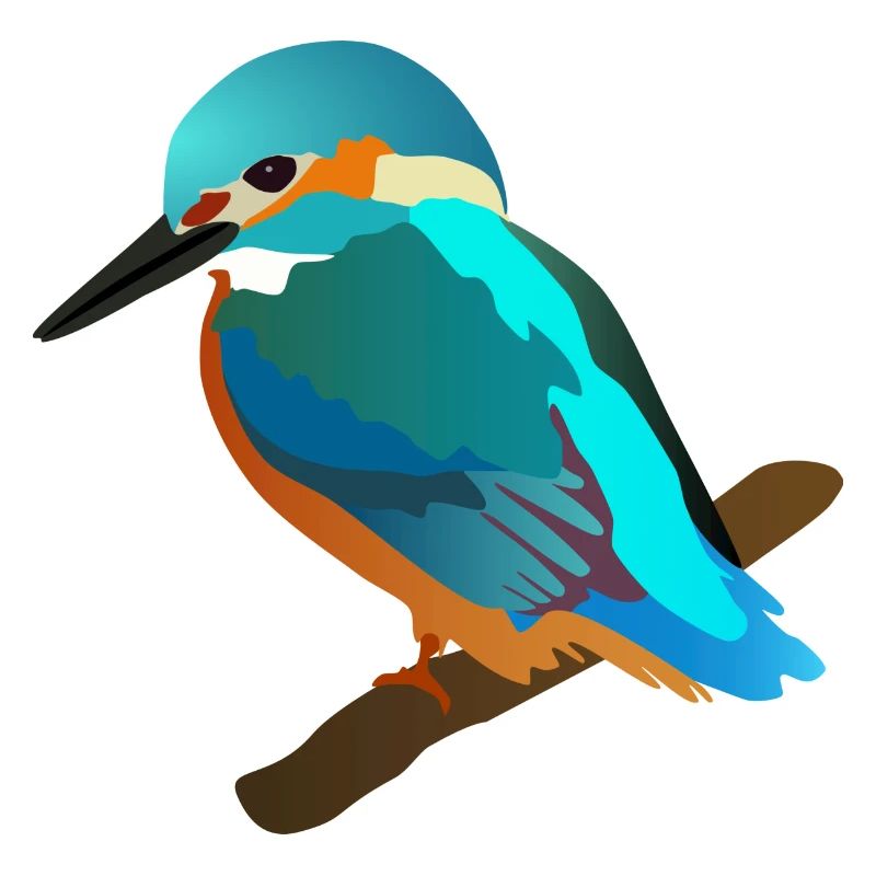 eisvogel