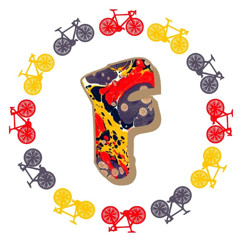 fahrrad e 202 f