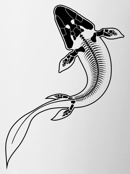 Tiktaalik