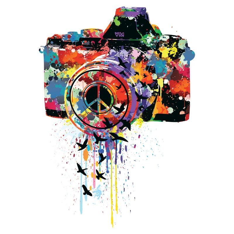 PAINT DSLR