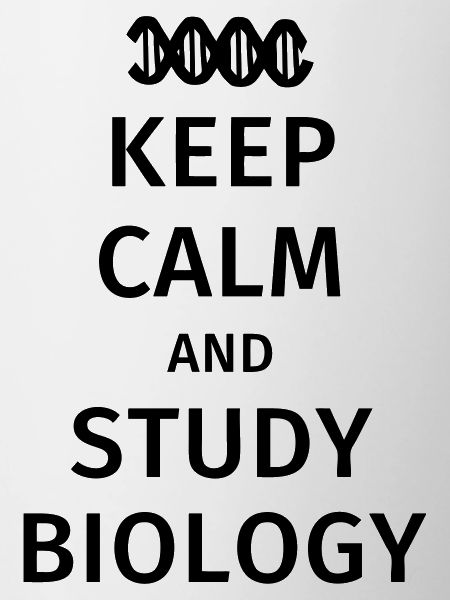 keep calm and study biology