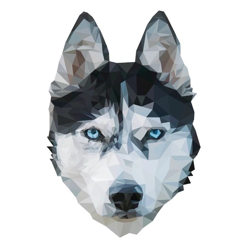 The Husky