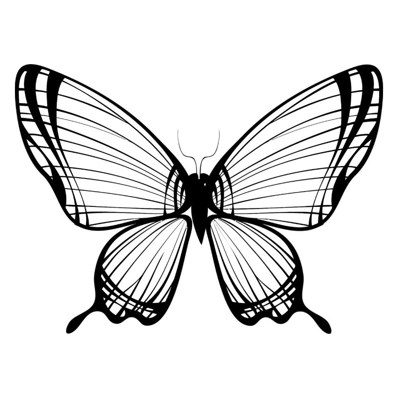 Schmetterling