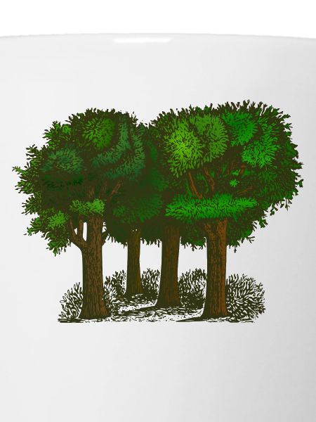 Wald