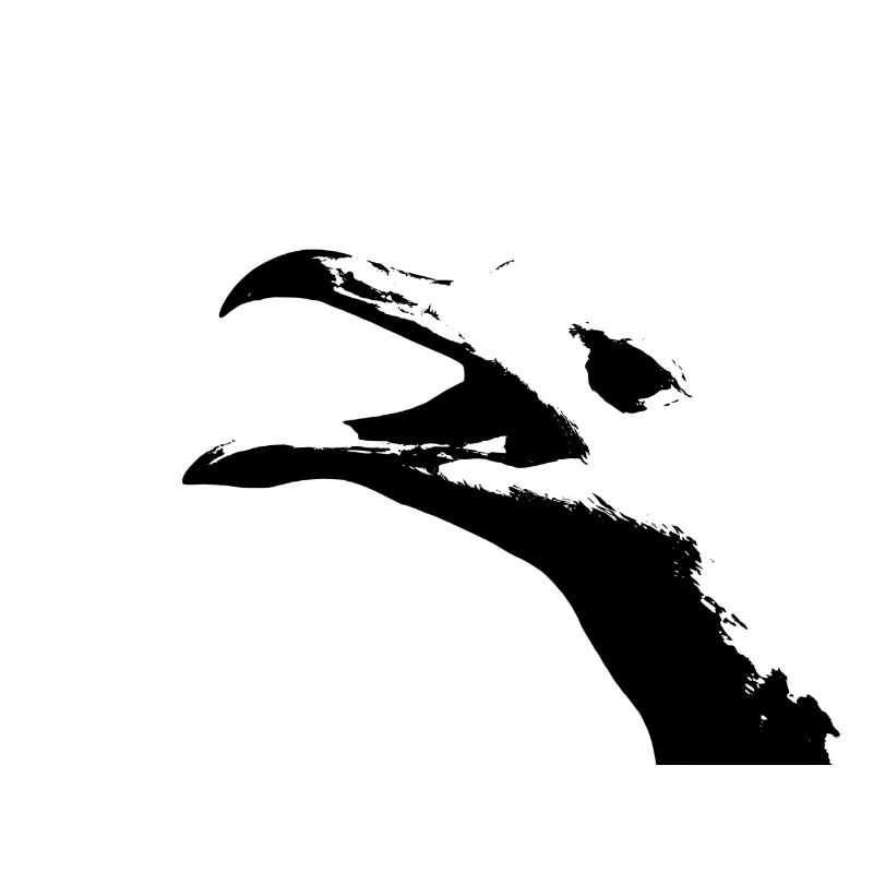 mouette