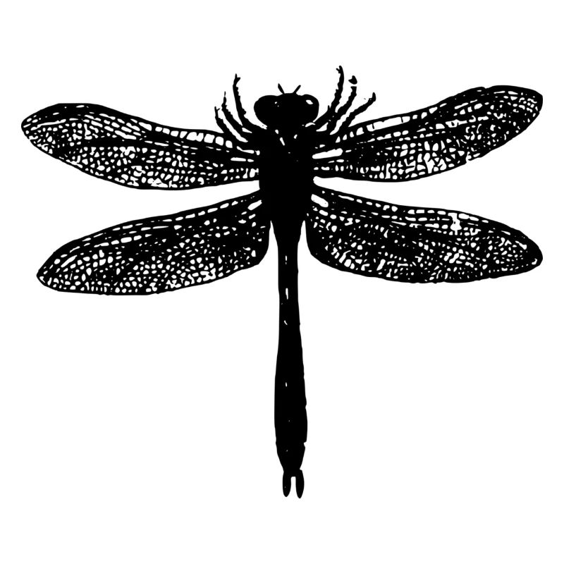 Libelle