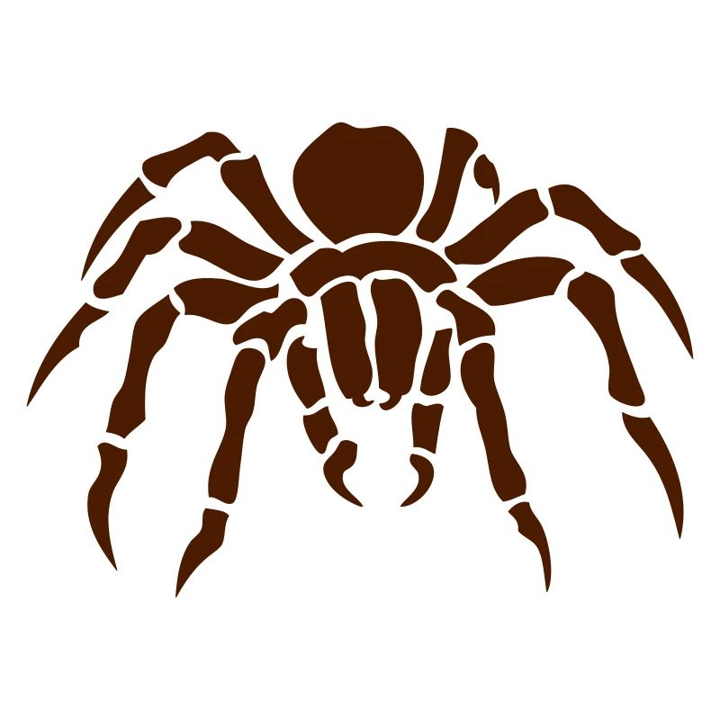 spider spider spinne ragno arana 2011