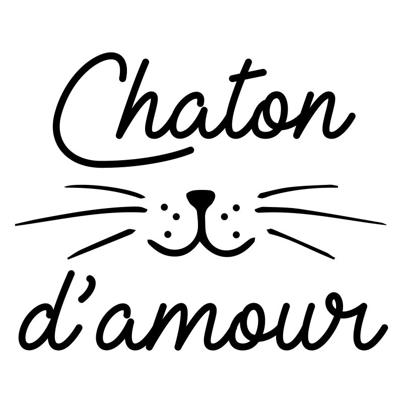 Chaton d'amour