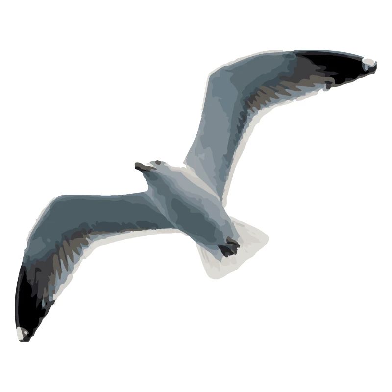 Mouette