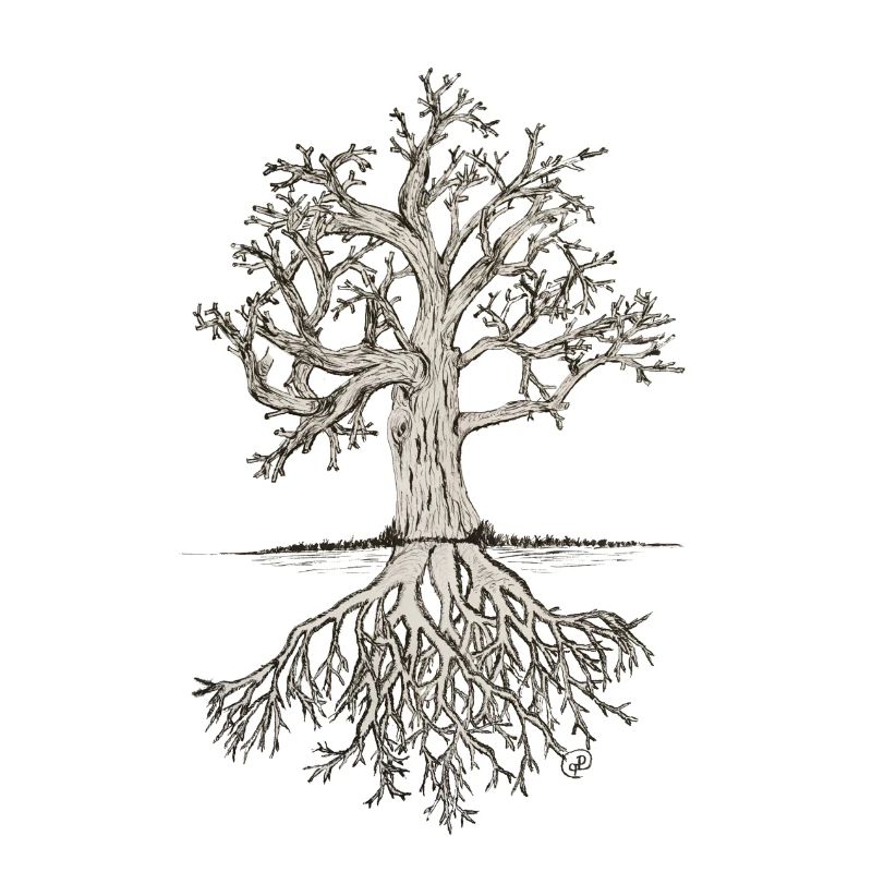 Gnarled tree