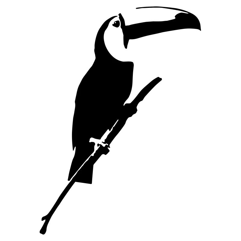 toucan