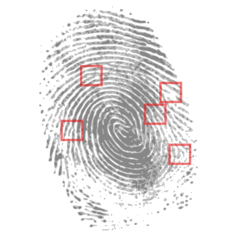 Fingerprint with characteristic determination.