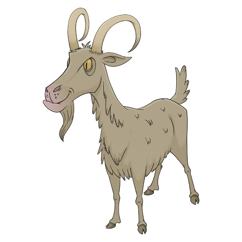 Goat goat