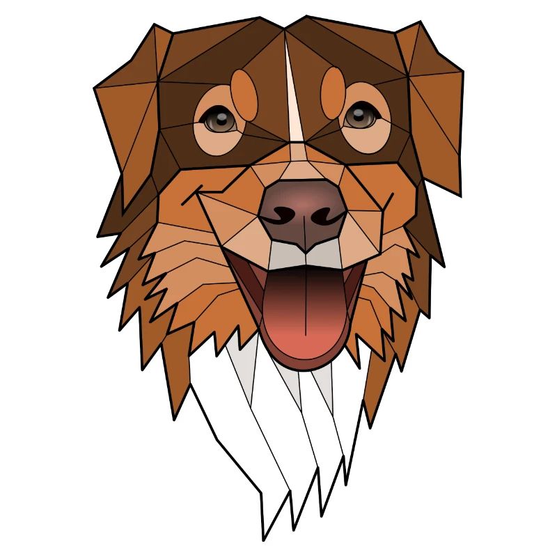 Australian Shepherd - Laska