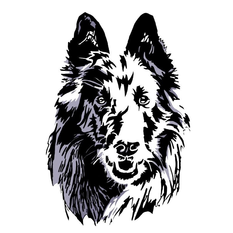 groenendael