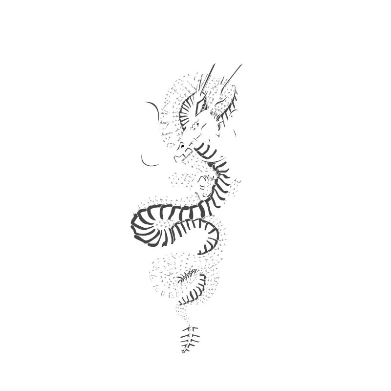 dragon