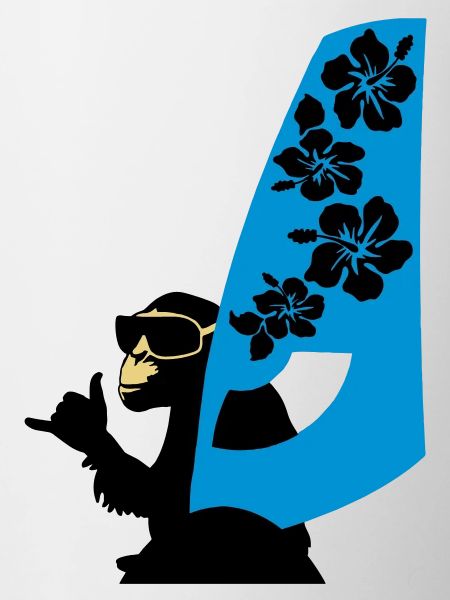 windsurfer