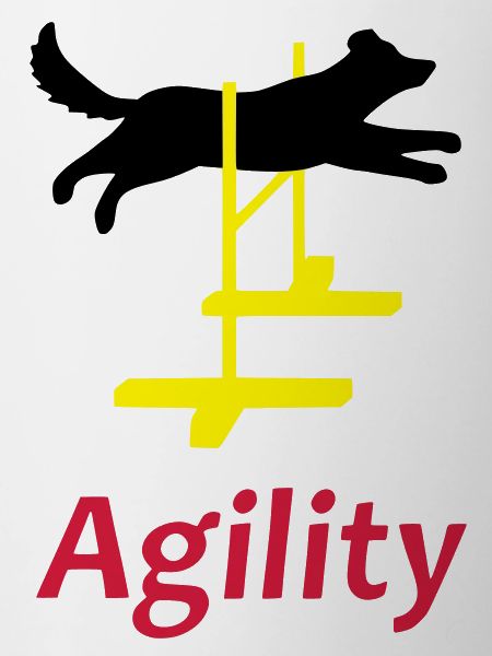 Agility 1